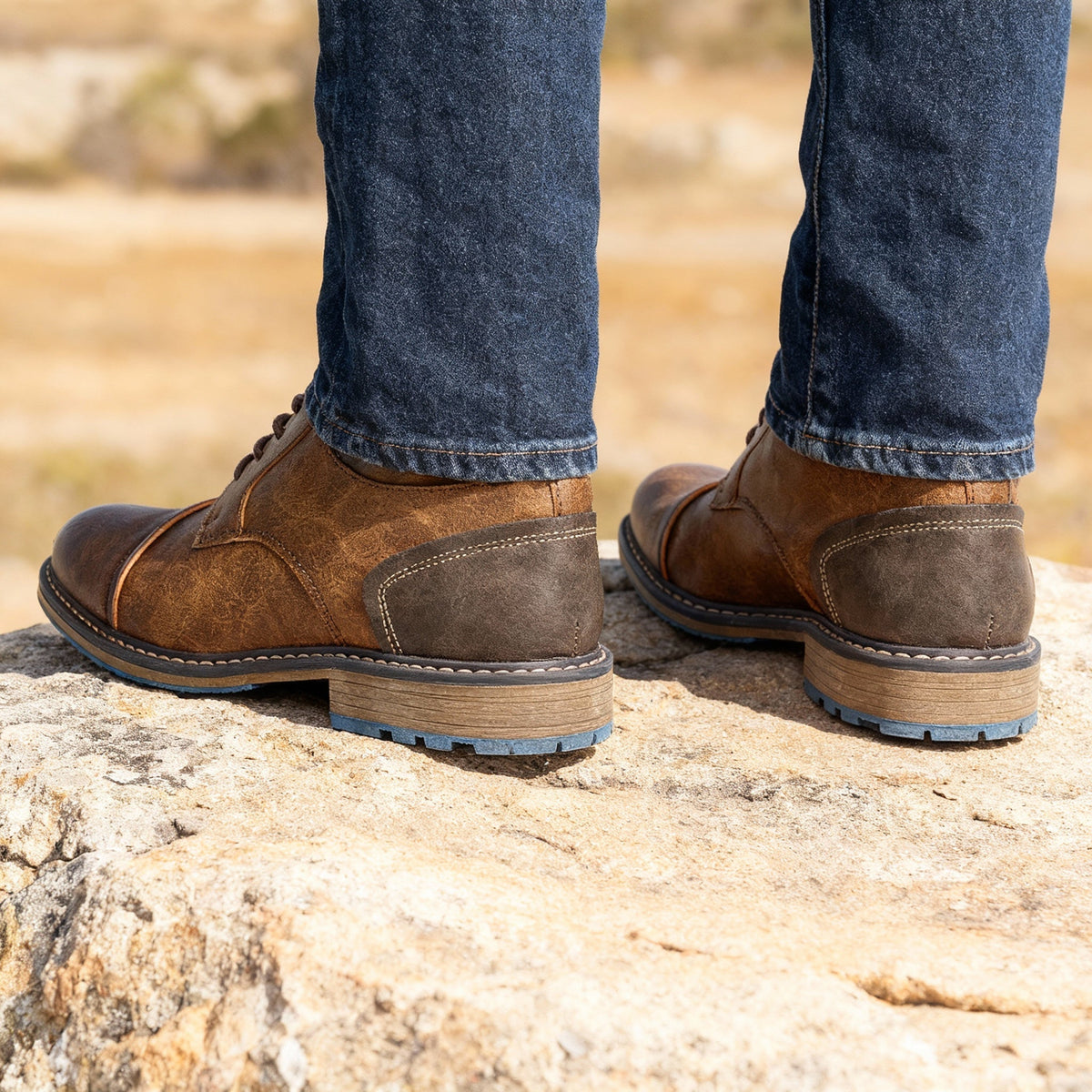 Pet Marlowe Cap-toe